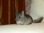 DSCN3397.jpg