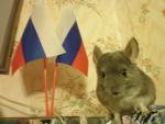 Пуша-патриот!